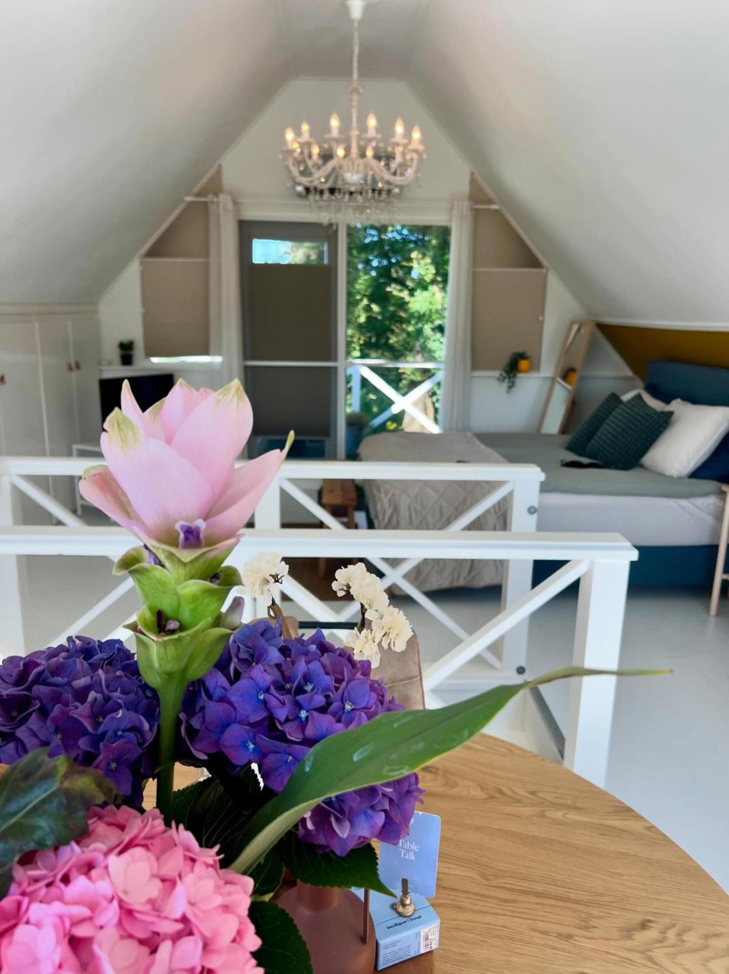 B&B Slaap In Buurse ハークスベルヘン エクステリア 写真